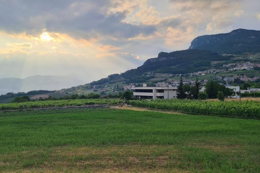 Appartamenti Moderni, Luminosi E Tranquilli Con Parcheggio Privato - Agritur La Tenuta ترينتو المظهر الخارجي الصورة