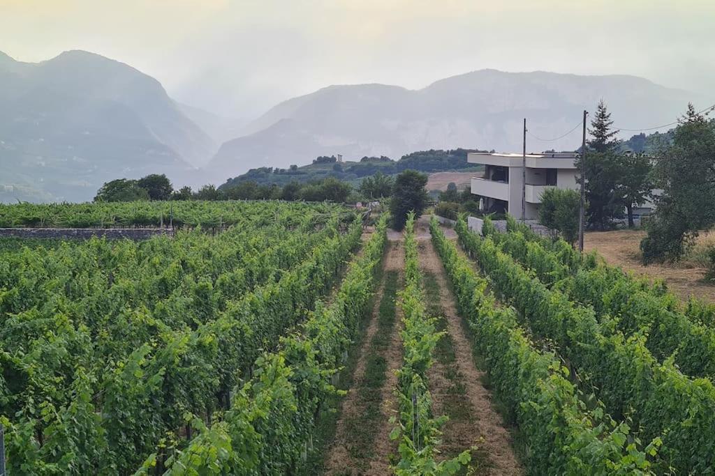 Appartamenti Moderni, Luminosi E Tranquilli Con Parcheggio Privato - Agritur La Tenuta ترينتو المظهر الخارجي الصورة
