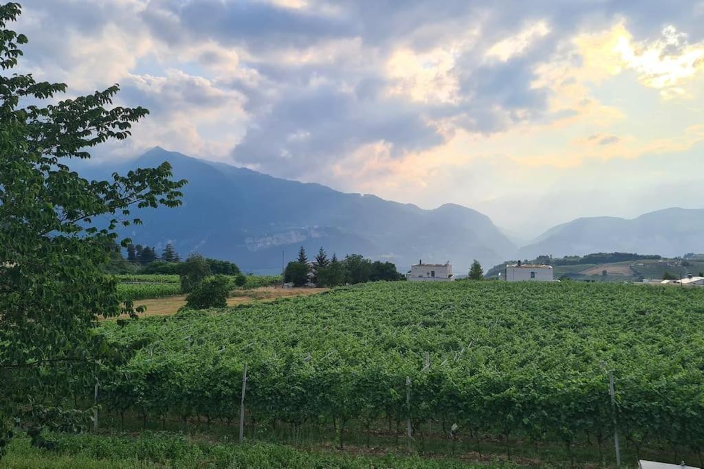 Appartamenti Moderni, Luminosi E Tranquilli Con Parcheggio Privato - Agritur La Tenuta ترينتو المظهر الخارجي الصورة