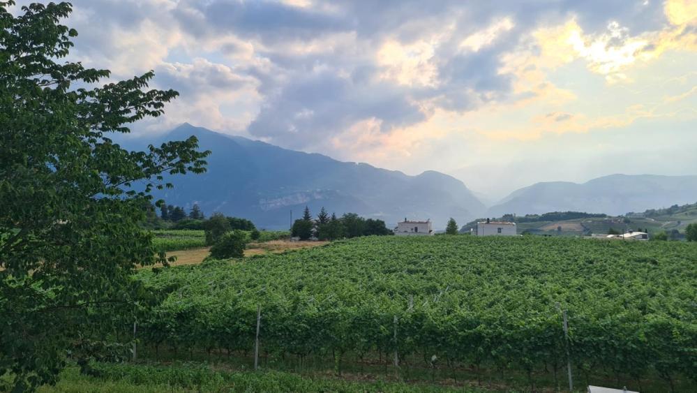 Appartamenti Moderni, Luminosi E Tranquilli Con Parcheggio Privato - Agritur La Tenuta ترينتو المظهر الخارجي الصورة