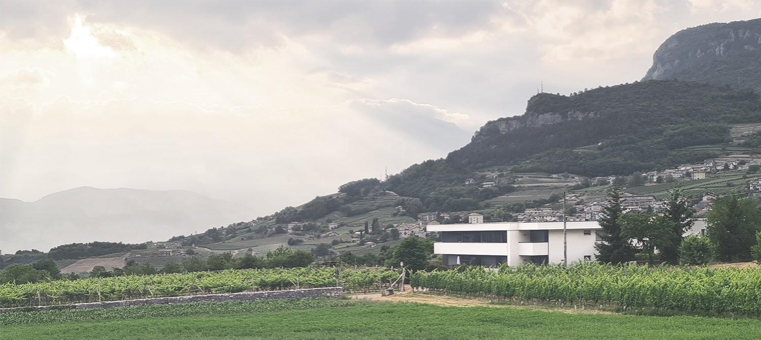 Appartamenti Moderni, Luminosi E Tranquilli Con Parcheggio Privato - Agritur La Tenuta ترينتو المظهر الخارجي الصورة