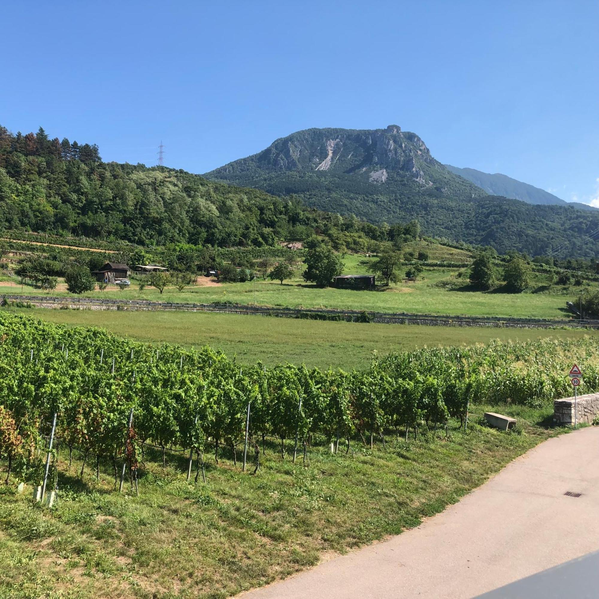Appartamenti Moderni, Luminosi E Tranquilli Con Parcheggio Privato - Agritur La Tenuta ترينتو المظهر الخارجي الصورة
